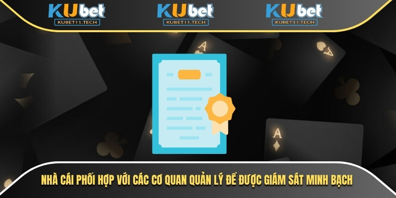 Giấy Phép Hoạt Động 3 Nhà cái phối hợp với các cơ quan quản lý để được giám sát minh bạch