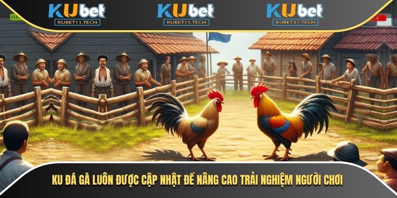 Ku Đá Gà 1 Ku đá gà luôn được cập nhật để nâng cao trải nghiệm người chơi